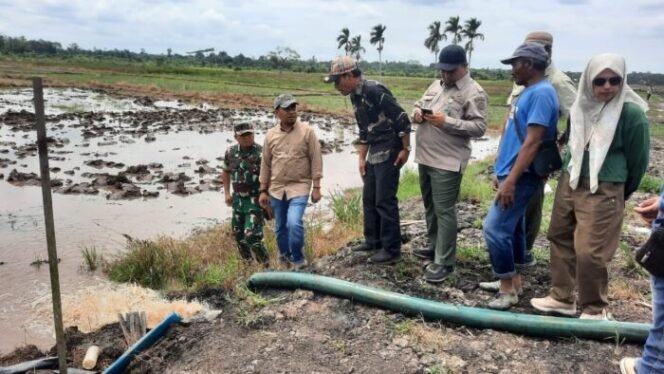 
					Kedis Pertanian Jatim: Program Pompanisasi Mampu Membuat Petani Melakukan Tanam Lebih Dari Satu Kali