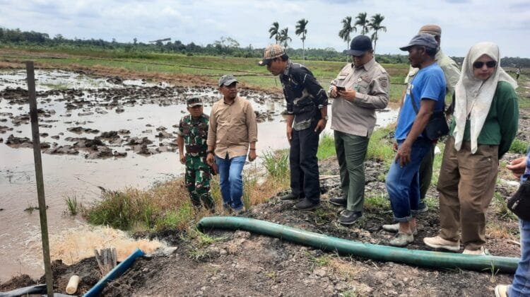 Kedis Pertanian Jatim: Program Pompanisasi Mampu Membuat Petani Melakukan Tanam Lebih Dari Satu Kali