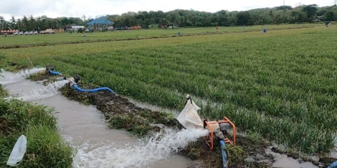 
					Program Pompanisasi Membuat Petani Lampung Bersemangat Tingkatkan Produksi