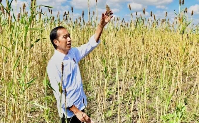 Pengamat: Satu Dekade Era Jokowi, Bidang Ekonomi dan Pangan Alami Kemajuan Signifikan