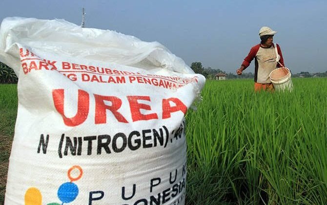 Anggota Komisi IV DPR RI Johan Rosihan: Penggantian Pupuk ke BLT Tidak Sesuai Tujuan Adanya Subsidi Pupuk