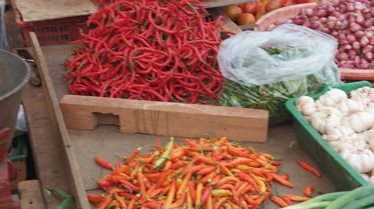 Pemerhati: Petani Menjerit Harga Cabai Anjlok