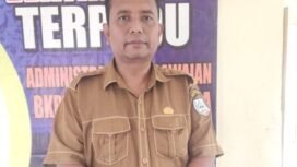 Plt Kadis BKPSDM, Syafarudin.