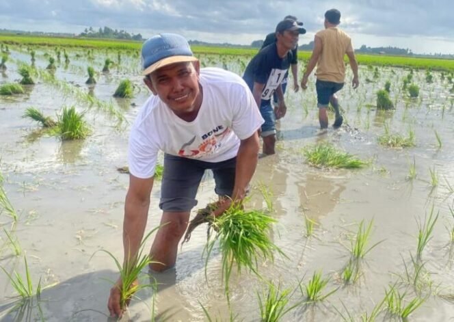 
					Pangkas 145 Regulasi, Kebijakan Distribusi Pupuk Langsung Ke Petani Dinilai Tepat