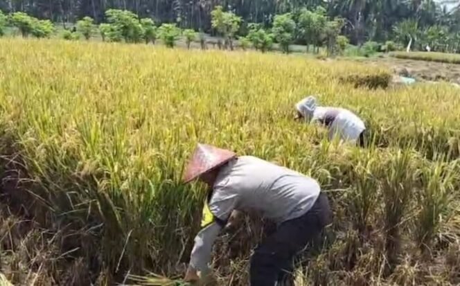 
					Dukung Asta Cita Presiden Prabowo, Bripka Agus Salim Bantu Petani di Lombok Timur