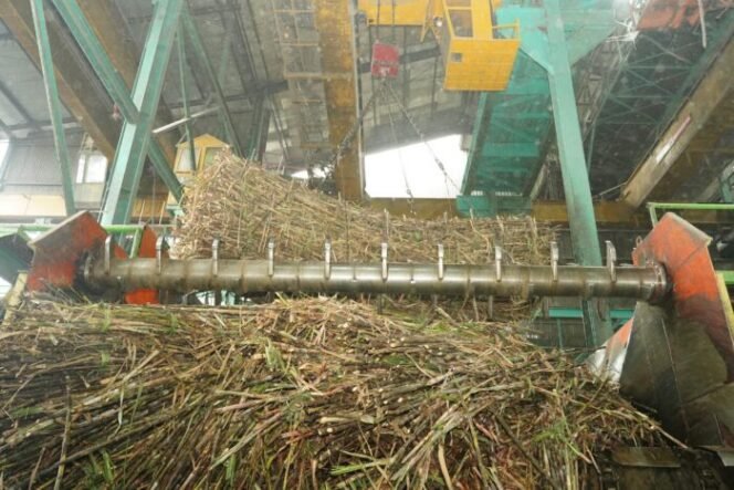 
					Kebijakan HAP Turut Ciptakan Keseimbangan Harga di Tiap Lini Rantai Pasok