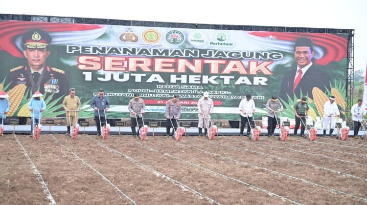 Mudahkan Petani Jual Hasil Panen, Polda Kalbar dan Pemkab Bengkayang Bangun Pabrik Jagung