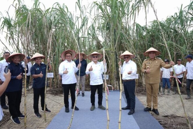 
					Kemenko Pangan Kunjungi SGN: “Terima Kasih Pahlawan Swasembada Pangan”