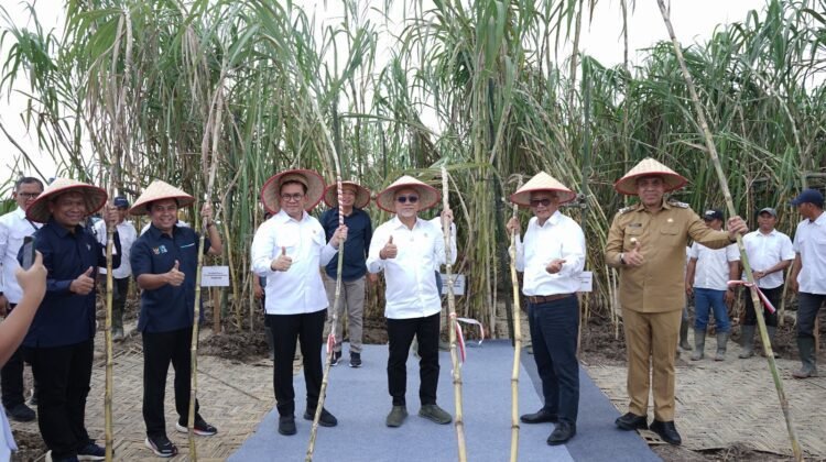 Kemenko Pangan Kunjungi SGN: “Terima Kasih Pahlawan Swasembada Pangan”