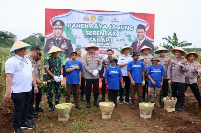 
					Polda Metro Jaya Gelar Panen Raya Jagung Dukung Ketahanan Pangan