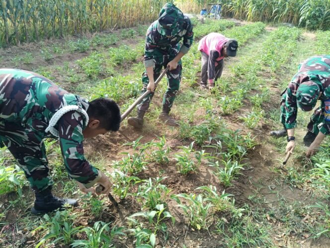 
					Danlanud Husein Sastranegara Tegaskan Program Ketahanan Pangan Bagian Sinergisitas TNI AU Dengan Masyarakat