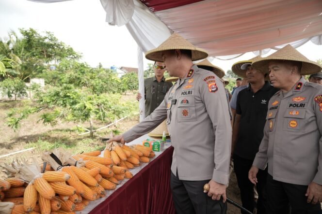 
					Panen Raya Jagung Hibrida, Kapolda Banten: Bentuk Nyata Upaya Bersama untuk Ketahanan Pangan