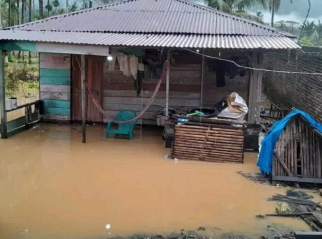 
					Salah Satu Rumah Warga di desa Lawe hijo terendam banjir.