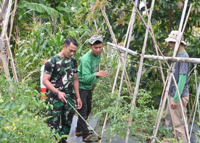 
					Komandan Lanud Husein Sastranegara: Pemanfaatan Aset TNI AU Sejalan Dengan Program Pemerintah Memperkuat Sektor Pangan