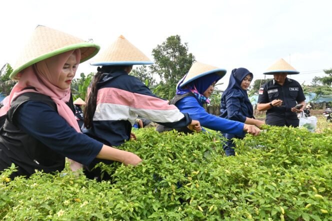 
					Lanud Husein Sastranegara dan Warga Tingkatkan Kemandirian Pangan