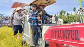 Bupati Aceh Tenggara bersama Forkopimda Panen Raya di desa kute lengat Selian.