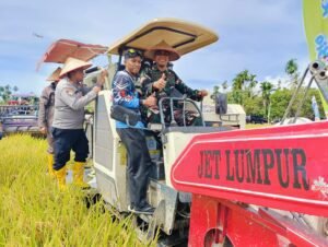 Bupati Aceh Tenggara bersama Forkopimda Panen Raya di desa kute lengat Selian.
