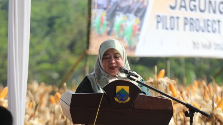 Kakorbinmas Baharkam Polri panen raya jagung hibrida bersama FKDB: Kolaborasi strategis wujudkan ketahanan pangan nasional