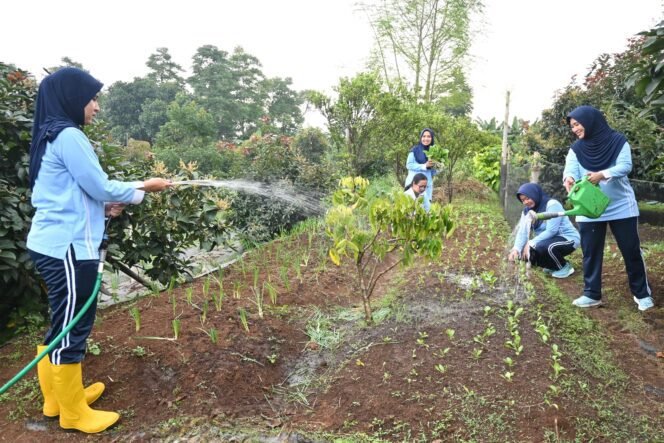 
					Optimalkan Lahan di Cimahi, Lanud Husein Sastranegara Dukung Ketahanan Pangan