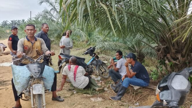 
					Membongkar Persoalan Sengketa Tanah 110 Hektar di Langkahan