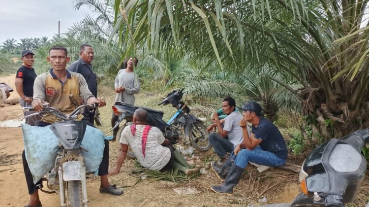 Membongkar Persoalan Sengketa Tanah 110 Hektar di Langkahan