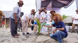 Karyawan PT PIM bersama masyarakat dan tokoh desa menanam bibit pohon kelapa di sepanjang Pantai Bangka Jaya sebagai simbol komitmen pelestarian lingkungan pesisir, Selasa (17/6/2025).