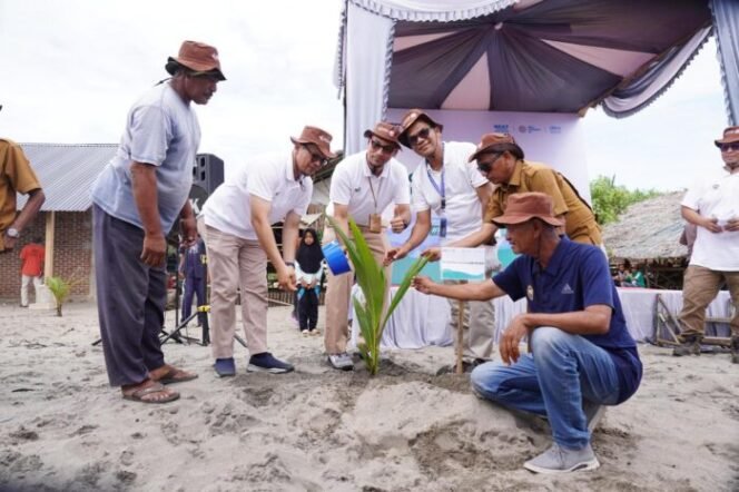 
					Karyawan PT PIM bersama masyarakat dan tokoh desa menanam bibit pohon kelapa di sepanjang Pantai Bangka Jaya sebagai simbol komitmen pelestarian lingkungan pesisir, Selasa (17/6/2025).