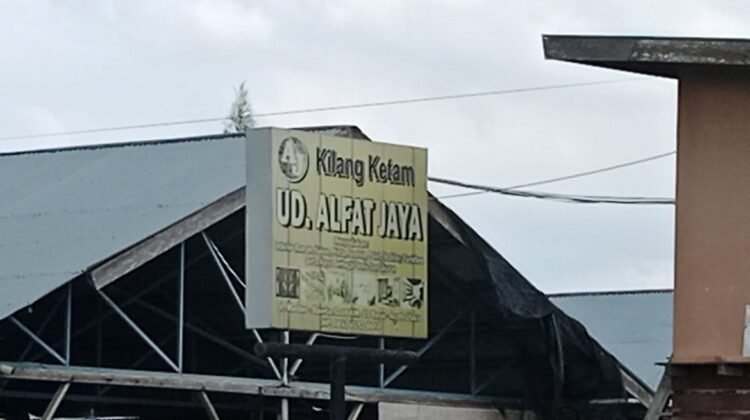 Panglong Liar Menjamur di Lhokseumawe, Diduga Tampung Kayu Curian