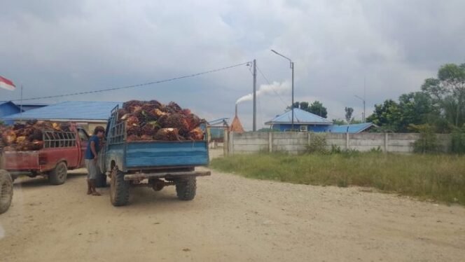 
					Membongkar Carut-Marut CSR Sawit di Aceh Timur