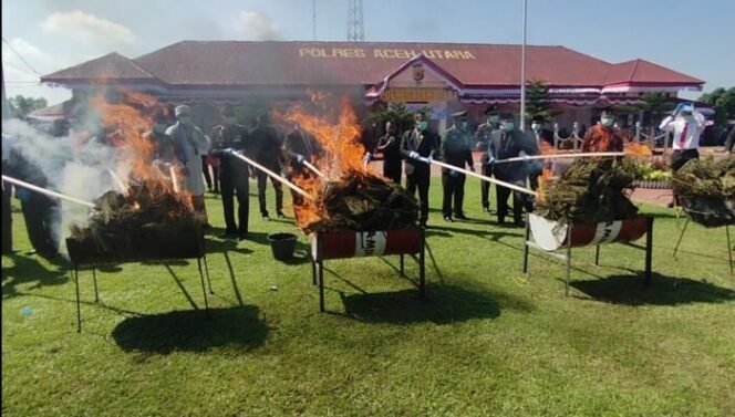 
					Polres Aceh Utara Musnahkan 73 Kg Ganja, Kapolri Tekankan Pelayanan Pro Rakyat