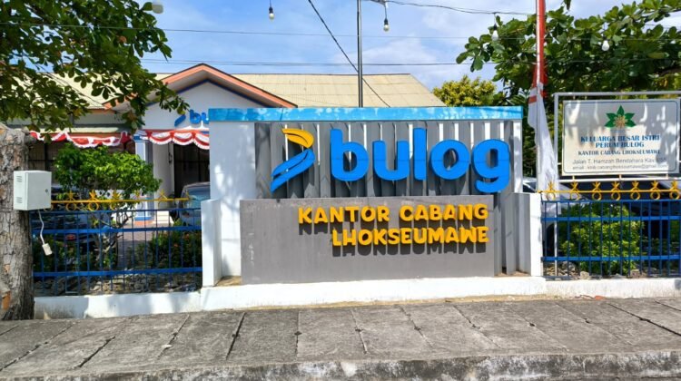 Bulog Kuasai Pasar Beras: Stok Melimpah, Kualitas dan Harga Jadi Pertanyaan