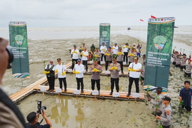 
					Tanam Mangrove di Kalbar, Kapolri: Jaga Lingkungan untuk Masa Depan Anak-Cucu Kita