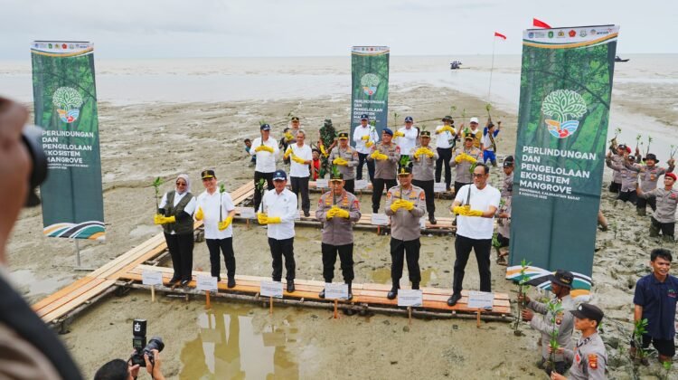Tanam Mangrove di Kalbar, Kapolri: Jaga Lingkungan untuk Masa Depan Anak-Cucu Kita