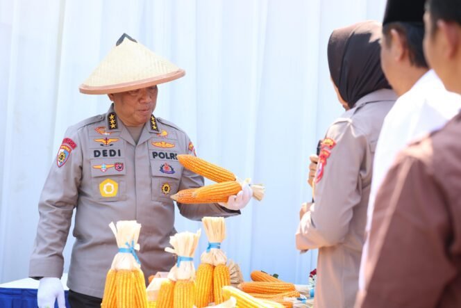 
					Penanaman Jagung Bersinergi Dengan Ponpes, Bukti Nyata Seluruh Komponen Bangsa Wujudkan Swasembada Pangan