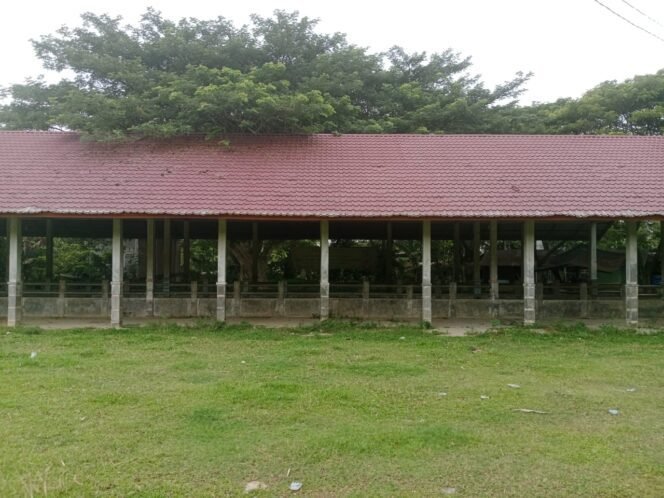 
					Pasar Hewan Punteut Mangkrak Bertahun-Tahun, Warga Berharap Bisa Hidupkan Ekonomi Masyarakat