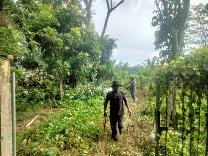 
					Geuchik Bakhtiar Pimpin Gotong Royong Bersihkan Menasah dan Pemakaman