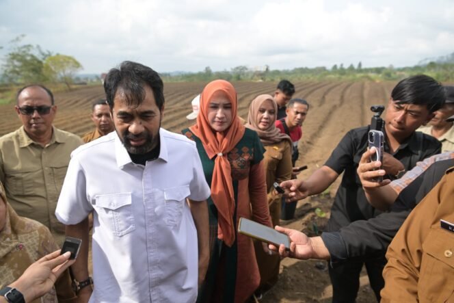 
					Harga Cabai, Inflasi, dan Aksi Tengkulak di Balik Maulid Nabi