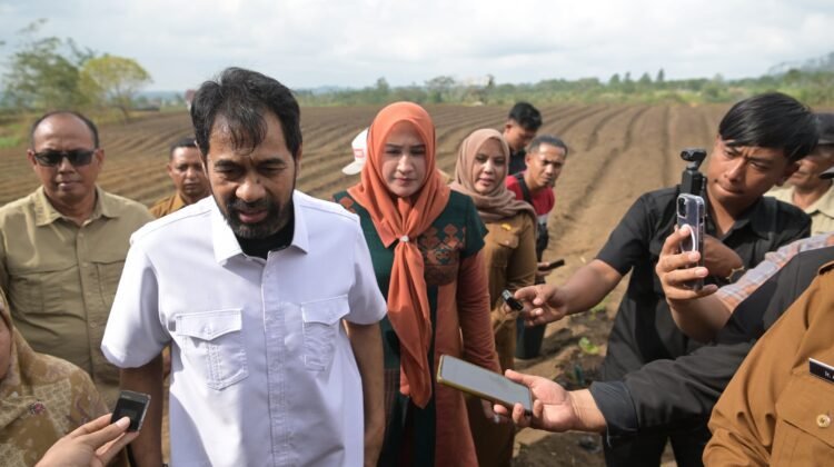 Harga Cabai, Inflasi, dan Aksi Tengkulak di Balik Maulid Nabi