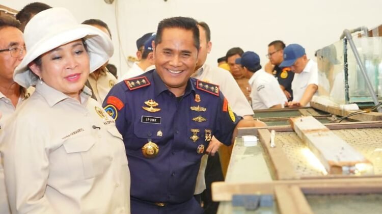 KKP Dorong Kepatuhan Usaha Ikan Arwana: Dirjen PSDKP Sidak langsung di Kalimantan Barat