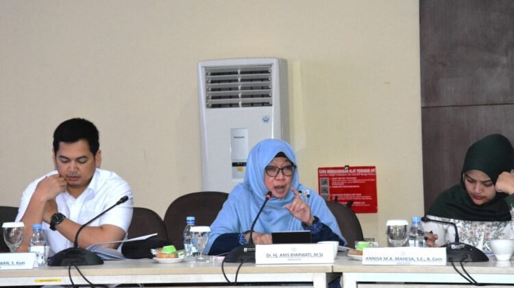 Pemerintah Tunda Pajak E-commerce, Anggota DPR Anis Byarwati: Ini  Merupakan “Angin Segar” Bagi UMKM Online