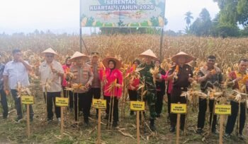 Bupati Aceh Tenggara H.M Salim Fakhry dan Ketua DPRK Aceh Tenggara Denny Febrian Roza menghadiri panen raya jagung serentak Kuartal I tahun 2026.