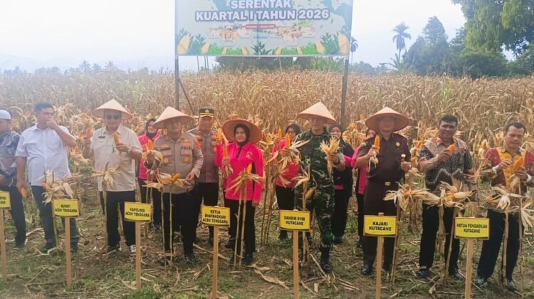 Bupati Aceh Tenggara H.M Salim Fakhry dan Ketua DPRK Aceh Tenggara Denny Febrian Roza menghadiri panen raya jagung serentak Kuartal I tahun 2026.