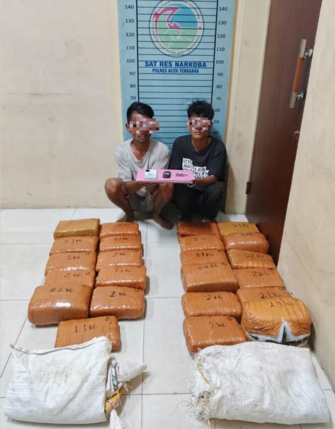 
					Bawa 50,7 Kilogram Ganja, Dua Pria di Aceh Tenggara Ditangkap Polisi 