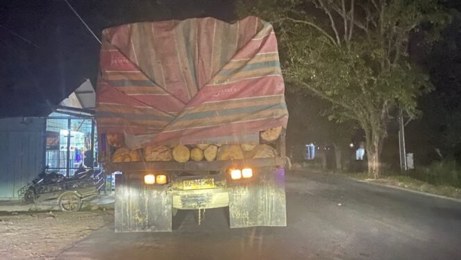 
					Kayu Balok Melintas Mulus, Hukum Terlihat Tertatih di Jalur Medan–Banda Aceh