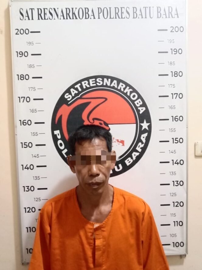 
					Satresnarkoba Polres Batu Bara Amankan 75,92 Gram Ganja dari Sebuah Gubuk