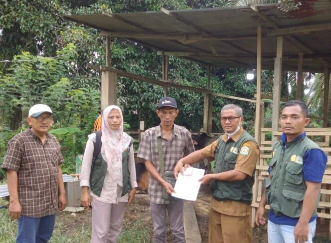 
					Jelang Meugang dan Idul Adha, Pemeriksaan Hewan Kurban di Aceh Tamiang dan Aceh Utara Diperketat