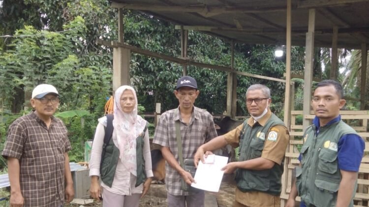 Jelang Meugang dan Idul Adha, Pemeriksaan Hewan Kurban di Aceh Tamiang dan Aceh Utara Diperketat