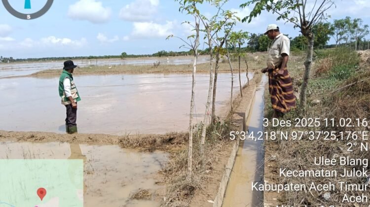 BWS Dinilai Lambat, Petani Aceh Timur Terancam Gagal Tanam Lagi