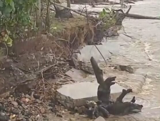 Angin Barat Datang Lebih Dulu, Warga Lhok Puuk Menyelamatkan Hidup di Tengah Gelombang