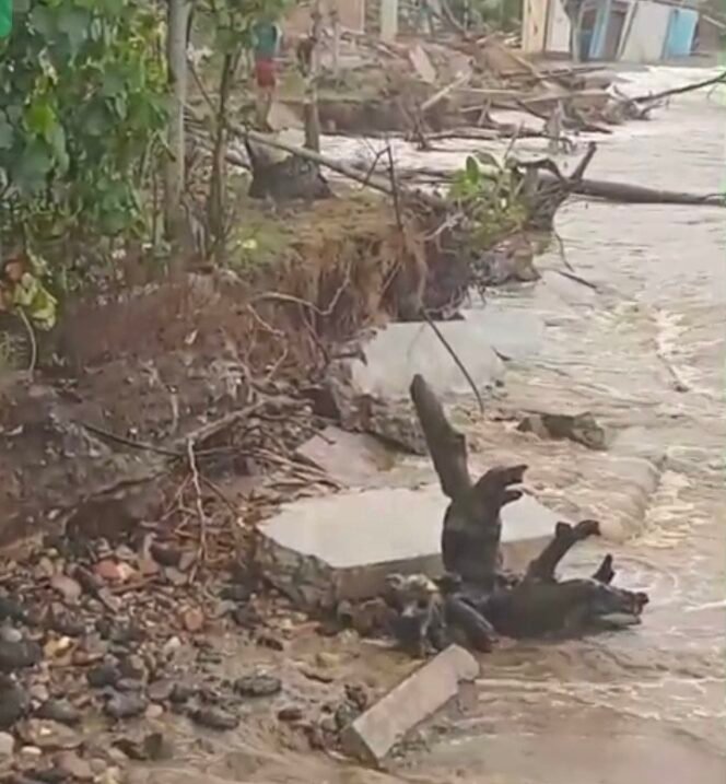 
					Angin Barat Datang Lebih Dulu, Warga Lhok Puuk Menyelamatkan Hidup di Tengah Gelombang